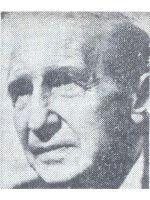 D.I. SUCHIANU
