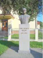 EMIL BOSCA-MALIN
