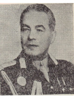 EMILIAN V. IONESCU