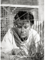 HARPER LEE