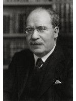 HENRI FOCILLON
