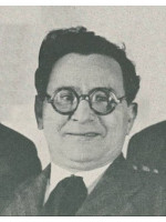 ION PRIBEAGU