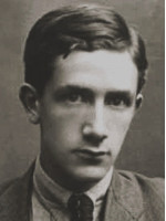 ION VINEA
