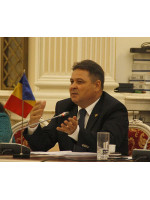 IONEL AGRIGOROAEI