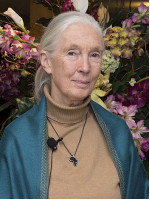 JANE VAN LAWICK-GOODALL