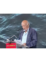MANUEL VICENT