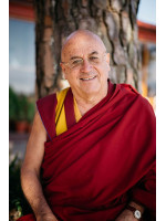 MATTHIEU RICARD