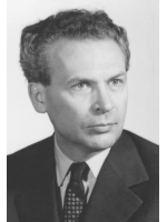 MIHAI GAFITA