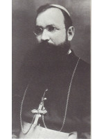 MIHAI ROBU