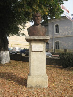 MIHAI TELIMAN