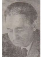 MIHAIL PETROVEANU