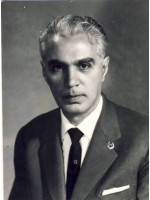 MIRON NICOLESCU