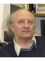 MOSHE IDEL