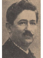 N. MIHALACHE