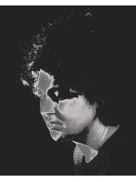 PASSIONARIA STOICESCU