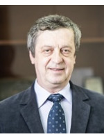 RADU CONSTANTINESCU