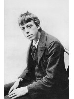 ROBERT WALSER