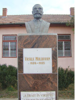 VASILE MOLDOVAN