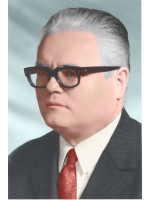 VASILE NETEA