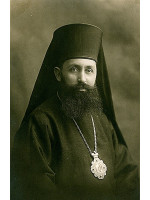 VISARION PUIU