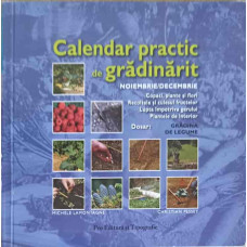 CALENDAR PRACTIC DE GRADINARIT - NOIEMBRIE/DECEMBRIE, GRADINA DE LEGUME