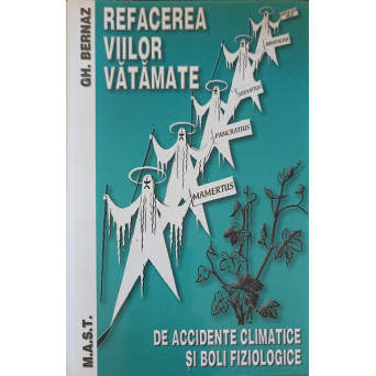 REFACEREA VIILOR VATAMATE DE ACCIDENTE CLIMATICE SI BOLI FIZIOLOGICE