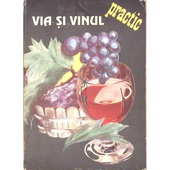 VIA SI VINUL