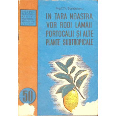 IN TARA NOASTRA VOR RODI LAMAII, PORTOCALII SI ALTE PLANTE SUBTROPICALE