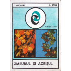 ZMEURUL SI AGRISUL