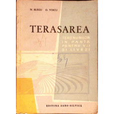 TERASAREA TERENURILOR IN PANTA PENTRU VII SI LIVEZI
