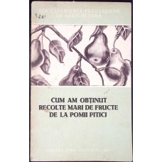 CUM AM OBTINUT RECOLTE MARI DE FRUCTE DE LA POMII PITICI