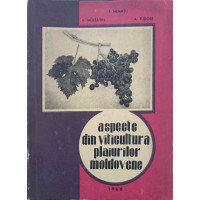 ASPECTE DIN VITICULTURA PLAIURILOR MOLDOVENE ASPECTE DIN VITICULTURA PLAIURILOR MOLDOVENE