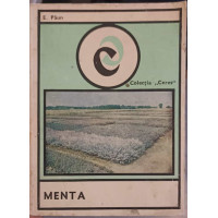 MENTA