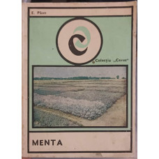 MENTA