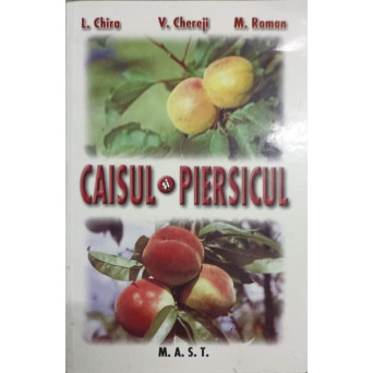 CAISUL SI PIERSICUL