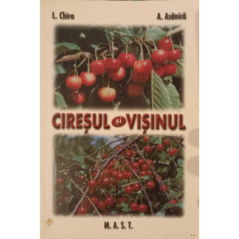 CIRESUL SI VISINUL