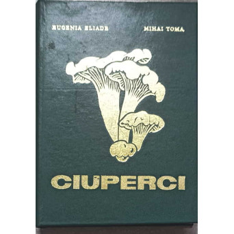 CIUPERCI