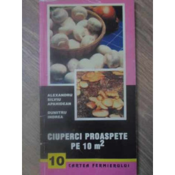 CIUPERCI PROASPETE PE 10 M2