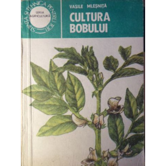 CULTURA BOBULUI