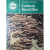 CULTURA BURETILOR