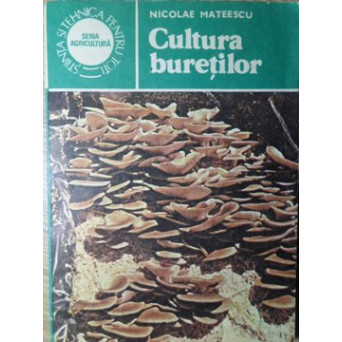 CULTURA BURETILOR