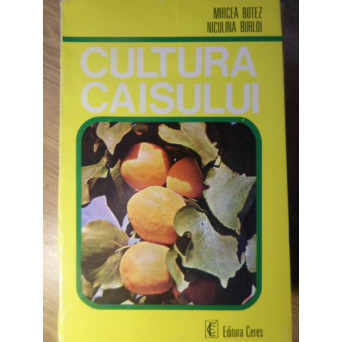 CULTURA CAISULUI