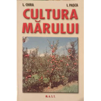 CULTURA MARULUI CULTURA MARULUI