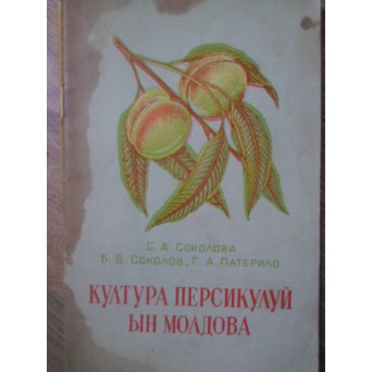 CULTURA PERSICULUI IN MOLDOVA (IN LIMBA ROMANA CU GRAFIE CHIRILICA)