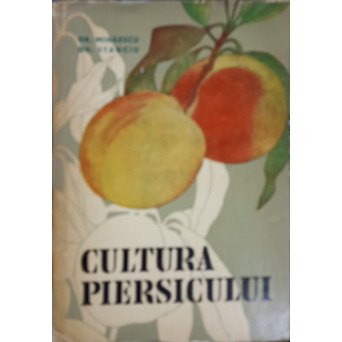 CULTURA PIERSICULUI