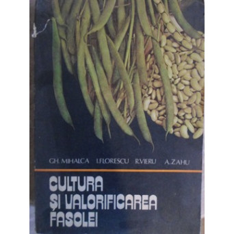 CULTURA SI VALORIFICAREA FASOLEI