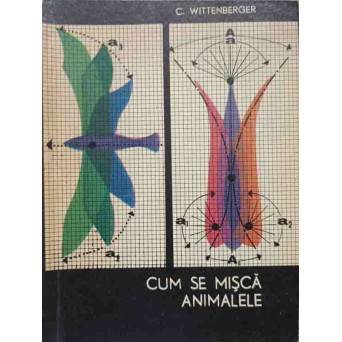 CUM SE MISCA ANIMALE