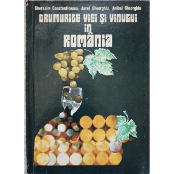 DRUMURILE VIEI SI VINULUI IN ROMANIA