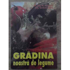 GRADINA NOASTRA DE LEGUME