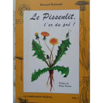 LE PISSENLIT L'OR DU PRE! (PAPADIA, AURUL DIN GRADINA - AGRICULTURA ECOLOGICA)